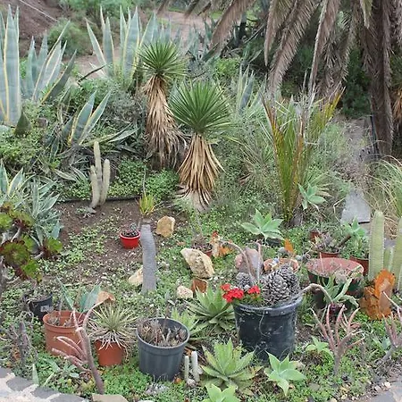 Casa Grenado