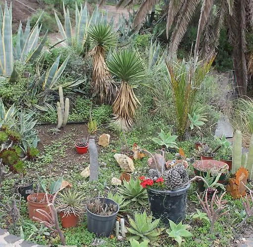 Casa Grenado